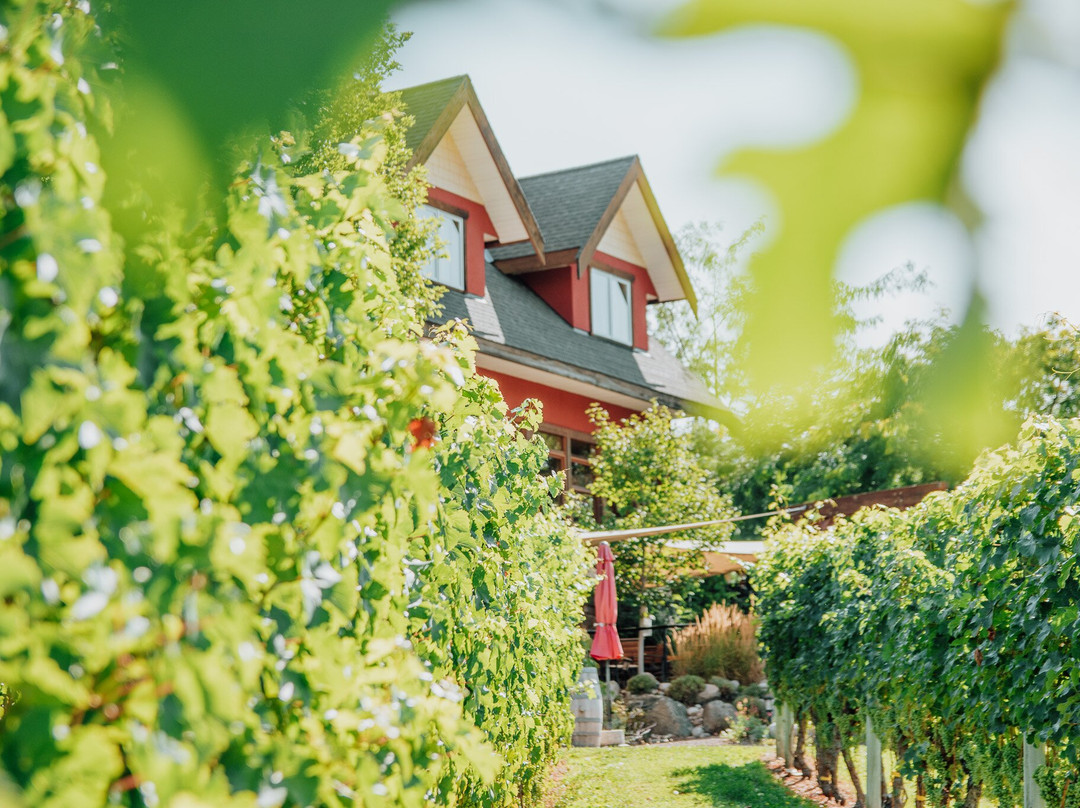 River Stone Estate Winery-Oliver必去景点
