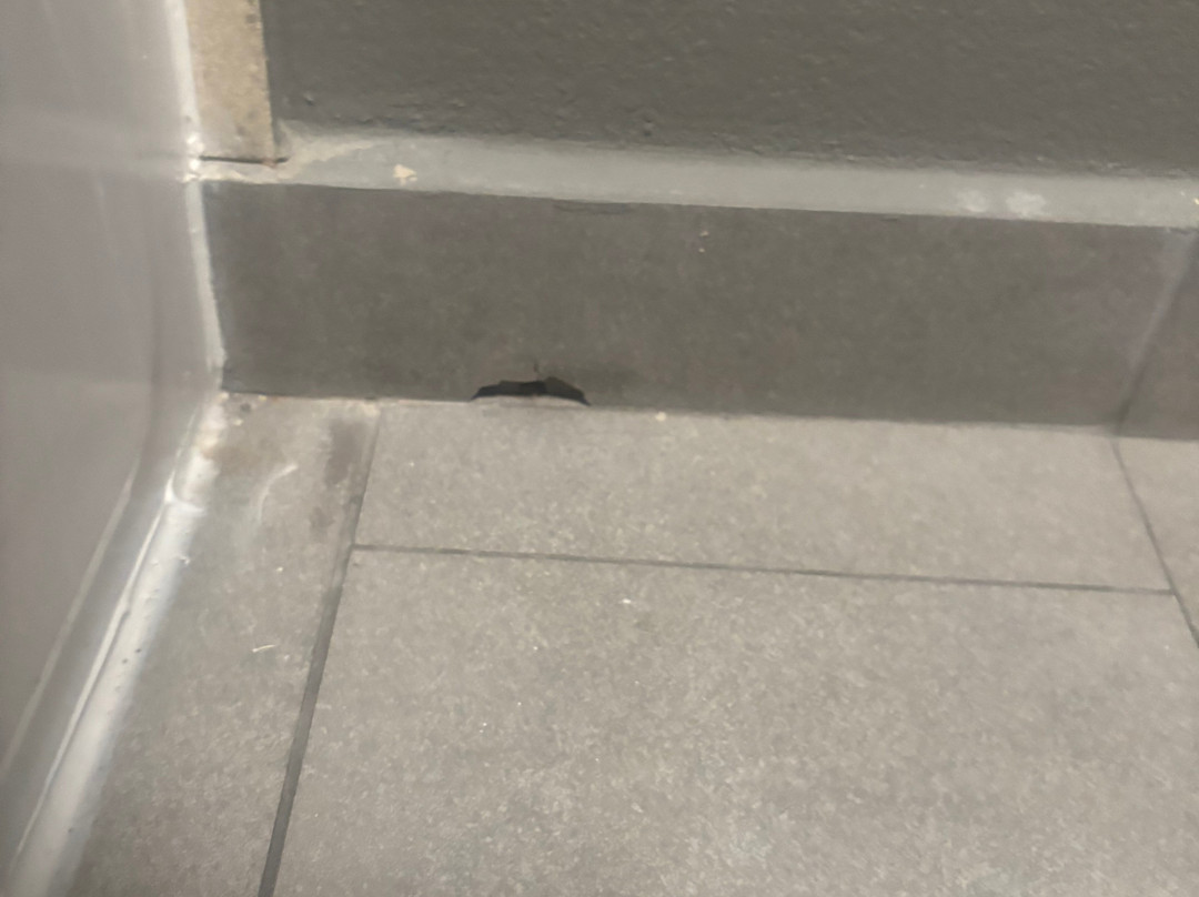 鲍灵格林贝斯特韦斯特优质酒店主图