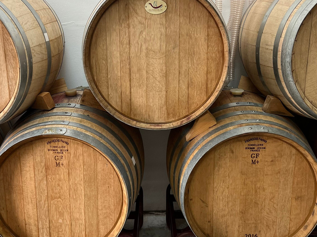 Bodegas Bentomiz-Sayalonga必去景点