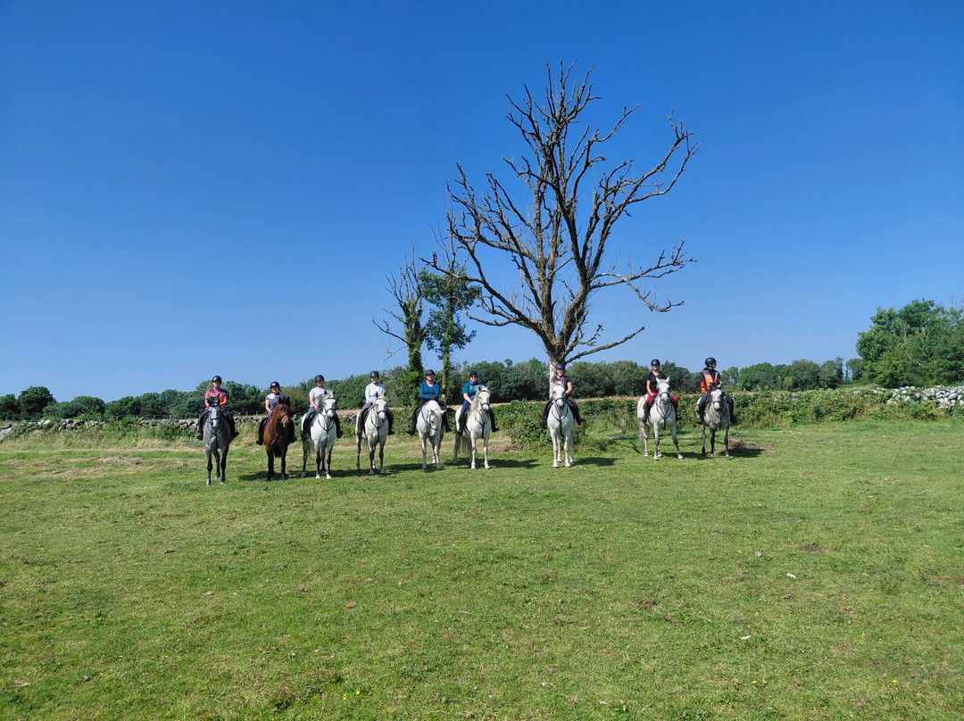 Connemara Equestrian Escapes-Moycullen必去景点