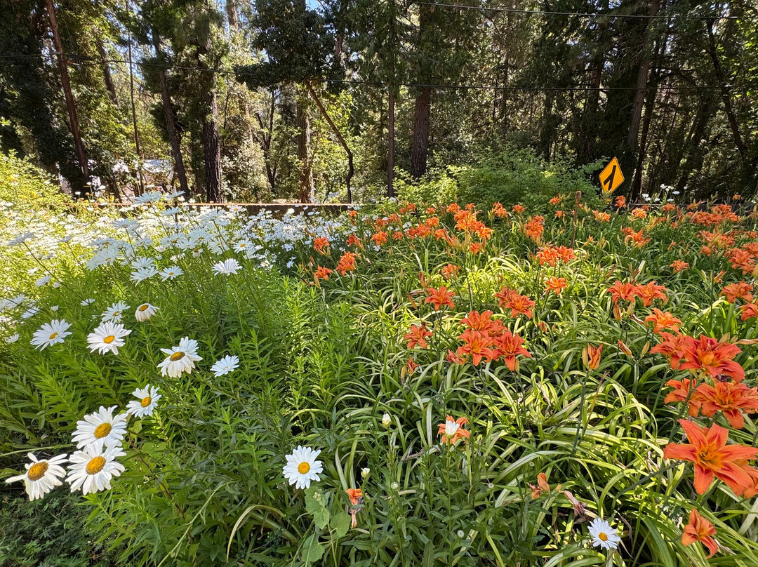 Empire Mine State Historic Park-Grass Valley必去景点