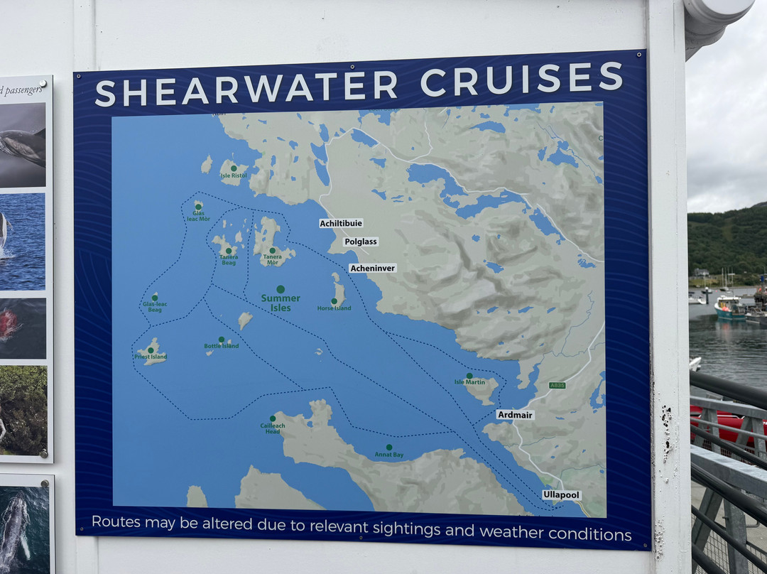 Shearwater Cruises-阿勒浦必去景点