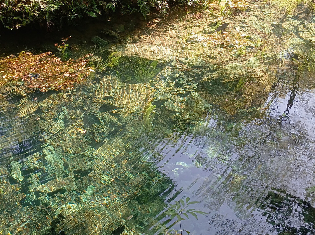 Parque das Cachoeiras-博尼图必去景点