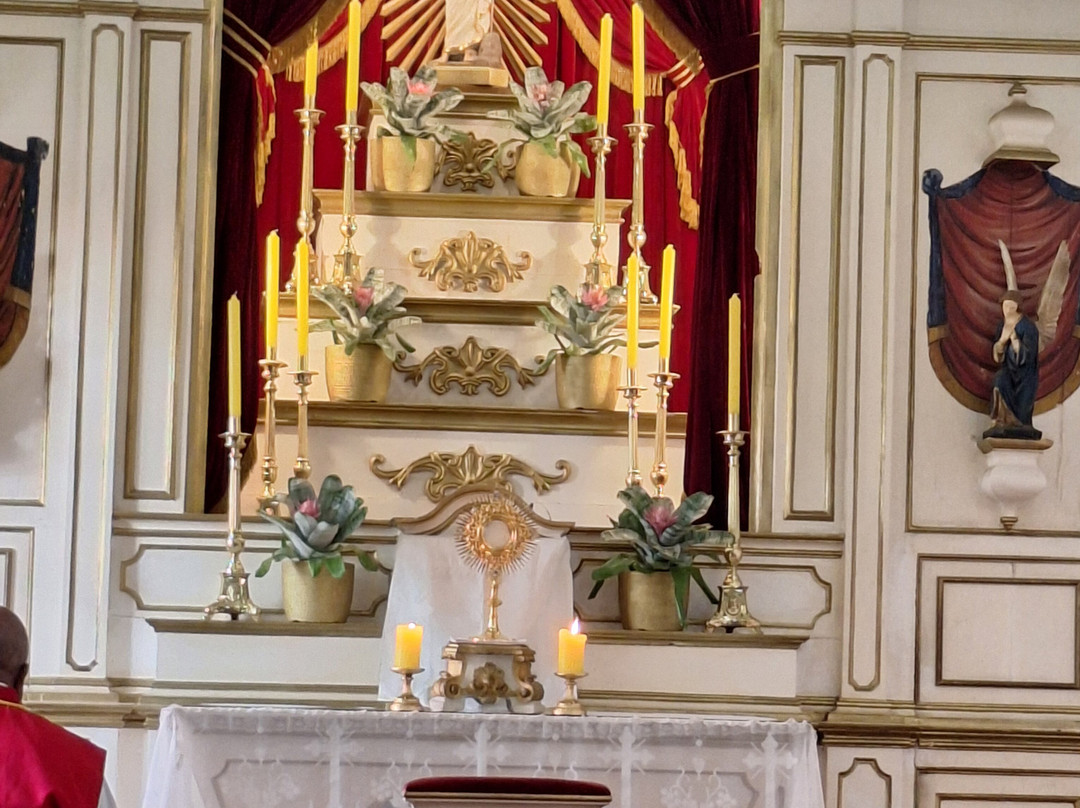 Igreja Matriz de Nossa Senhora do Montserrat-Baependi必去景点