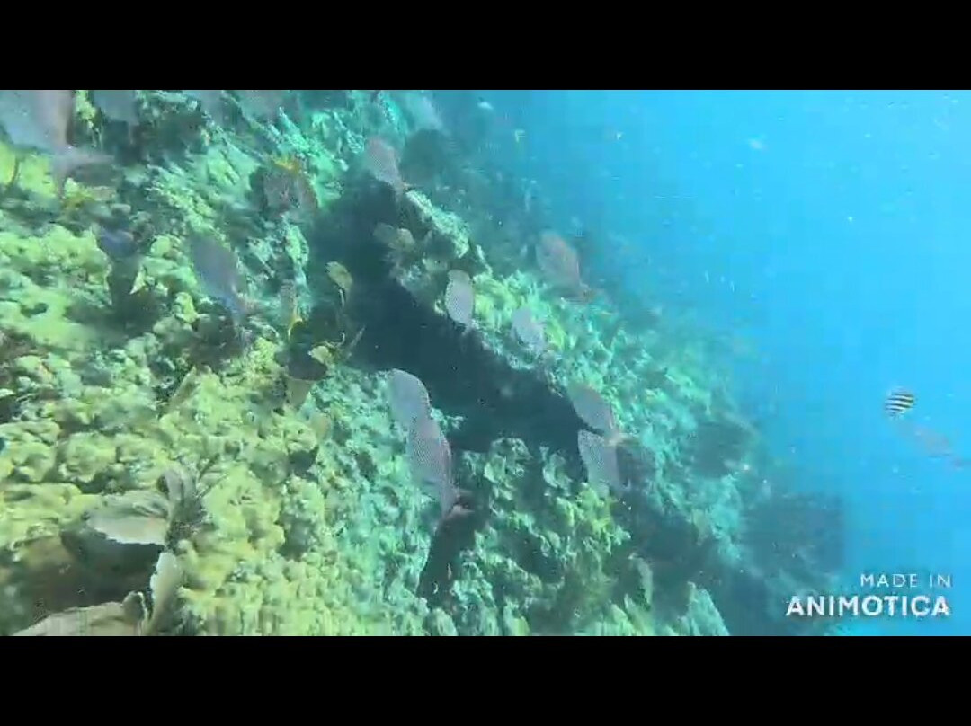 Sombrero Reef-马拉松必去景点