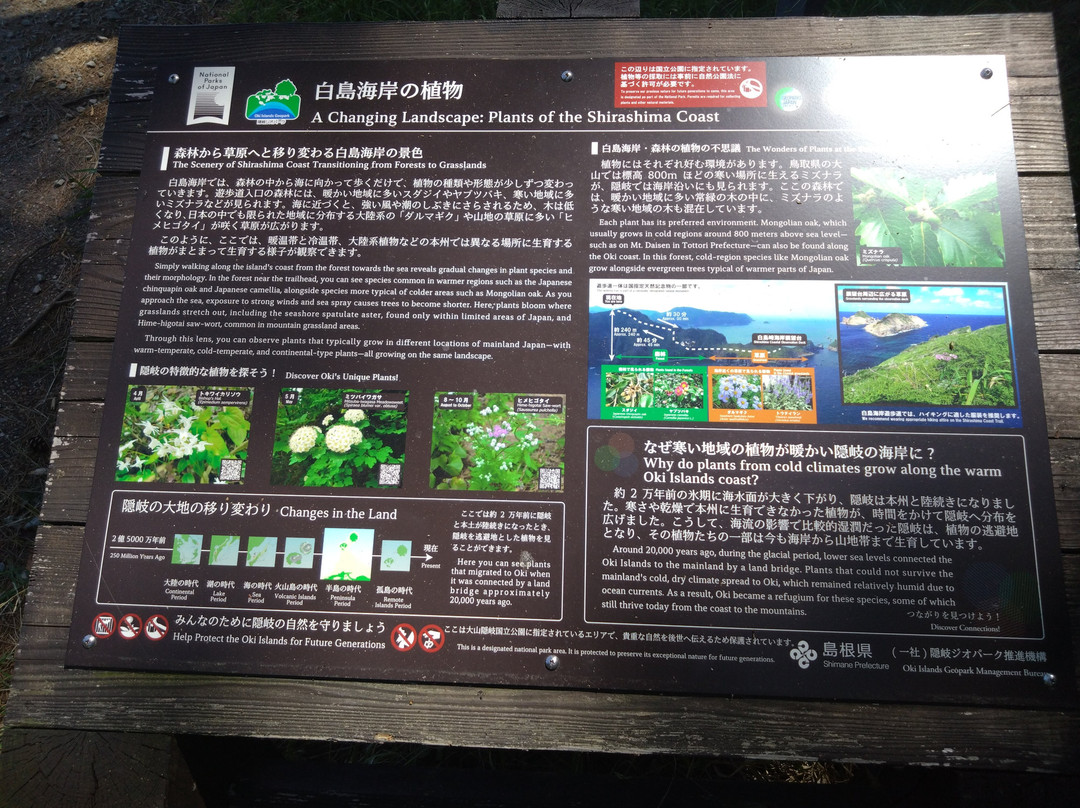 Shirashima Observatory-隐岐之岛町必去景点