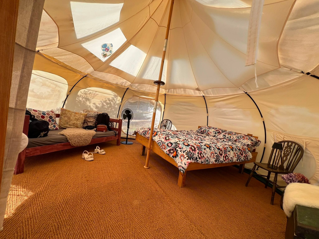 Wild Camp