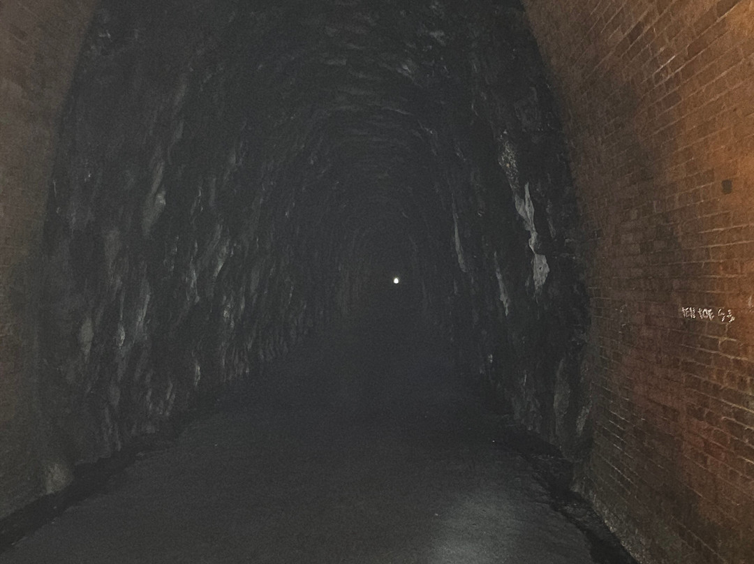 Blue Ridge Tunnel East Trailhead-Afton必去景点