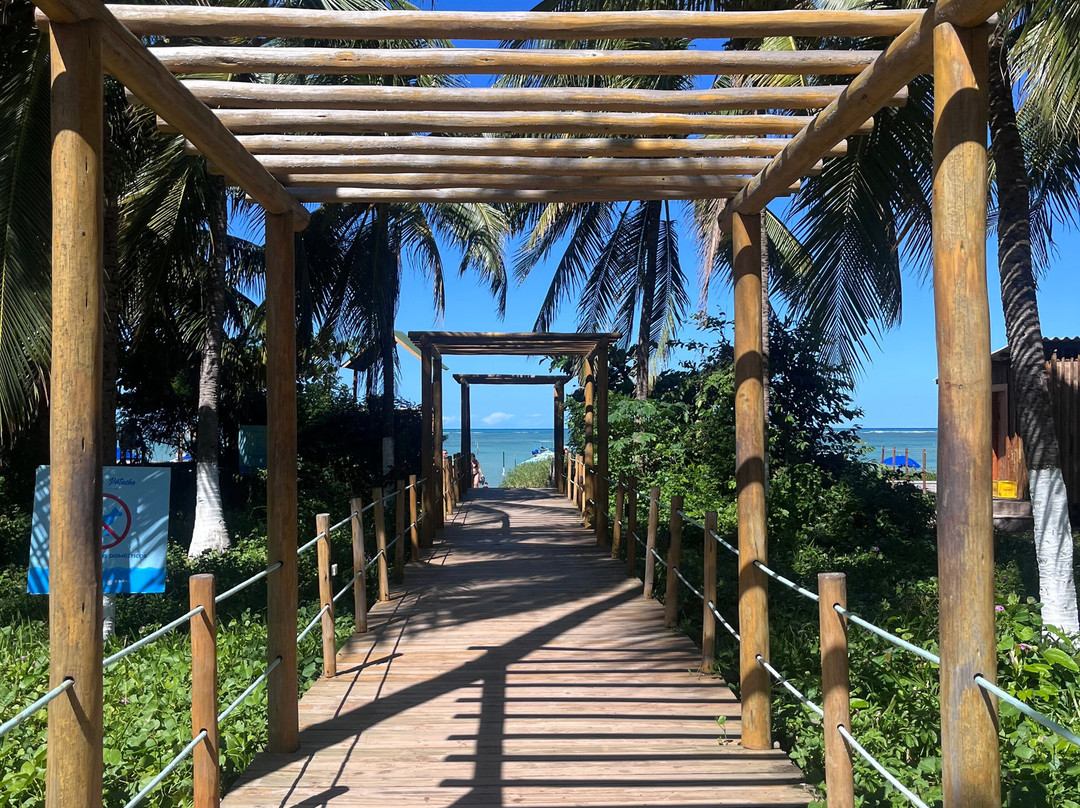 Patacho Beach-Porto de Pedras必去景点