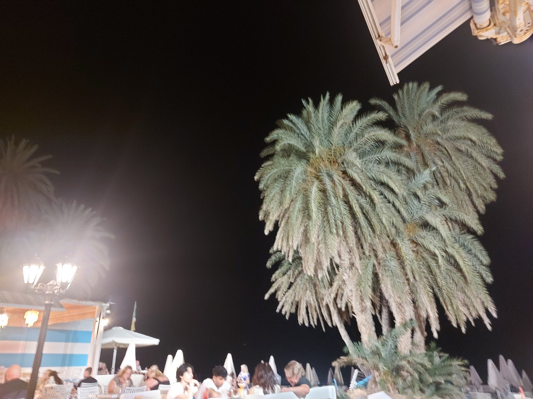 Ocean Bar & Restaurant
