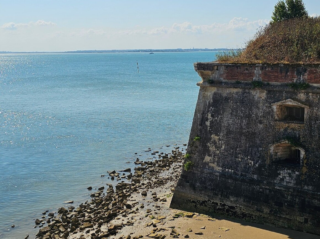 Chateau d'Oleron-奥莱龙岛必去景点