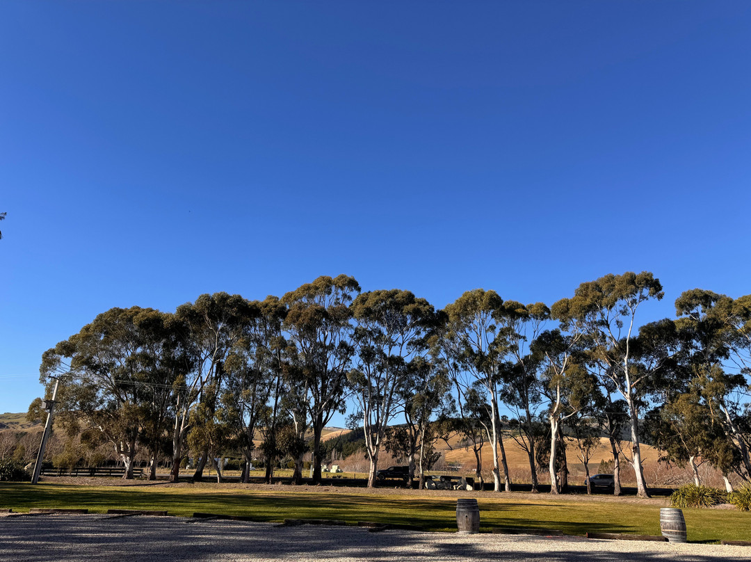 Waipara Springs Winery-Waipara必去景点