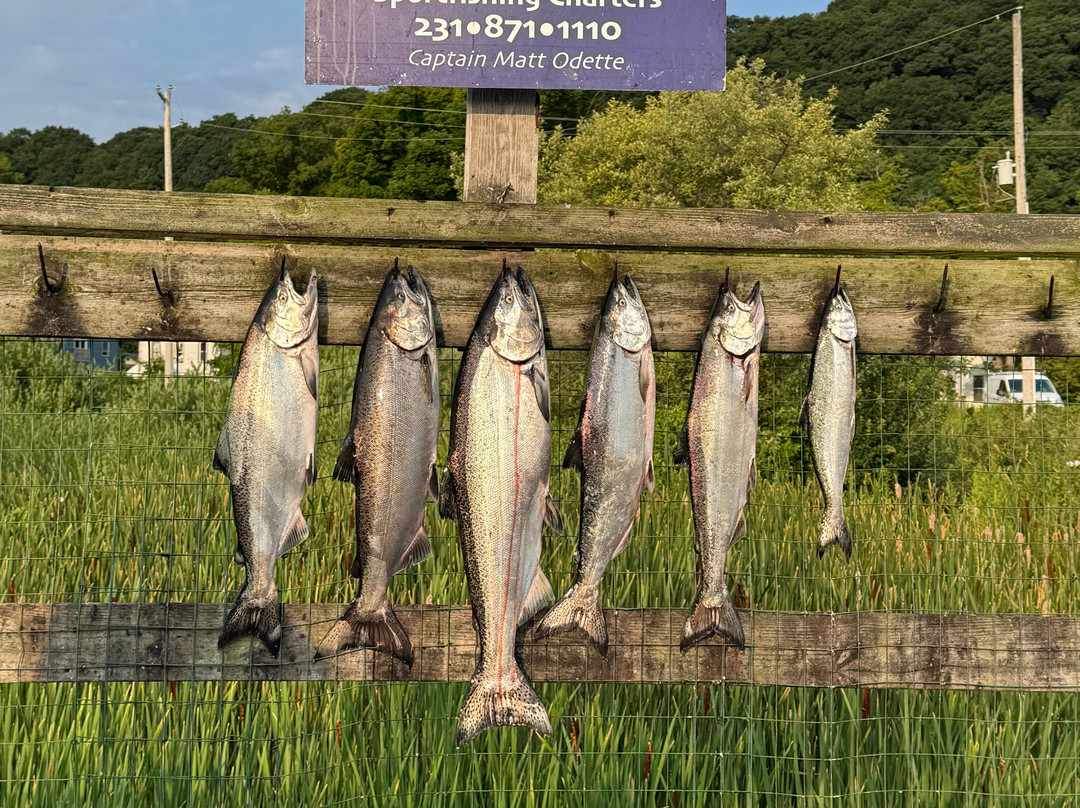 Intimidator Sport Fishing Charters-Frankfort必去景点