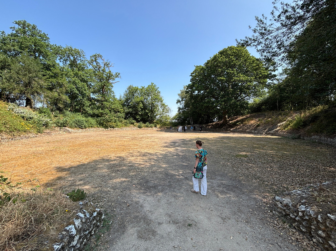 Silchester Roman City Walls and Amphitheatre-Silchester必去景点