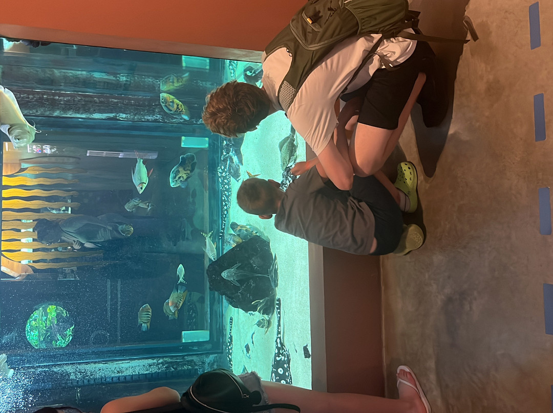 Aquarium Des Tropiques-Allex必去景点