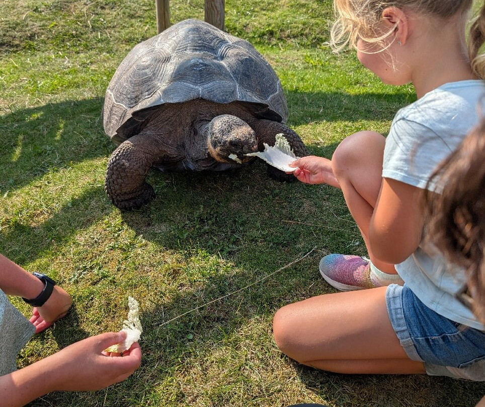 Krokodille Zoo-Eskilstrup必去景点
