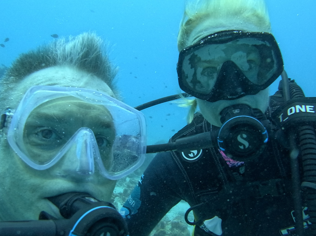 The Zanzibar Dive Centre, One Ocean-基万嘎必去景点