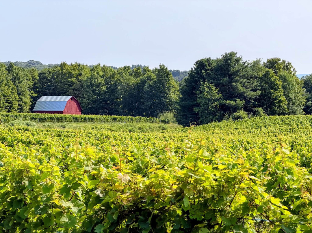 Chateau Chantal Winery and Inn主图