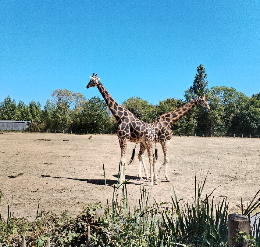 Parc Zoologique de Paris-Hermival-les-Vaux必去景点