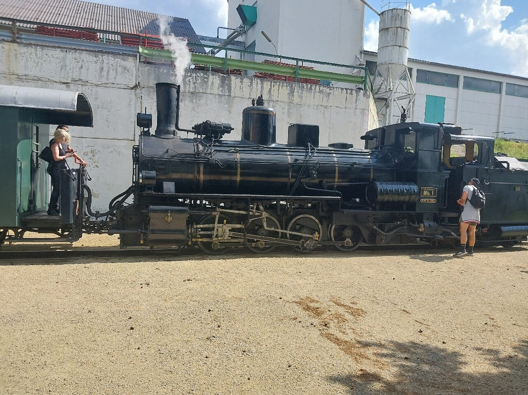Waldviertler Schmalspurbahn-Gmuend必去景点