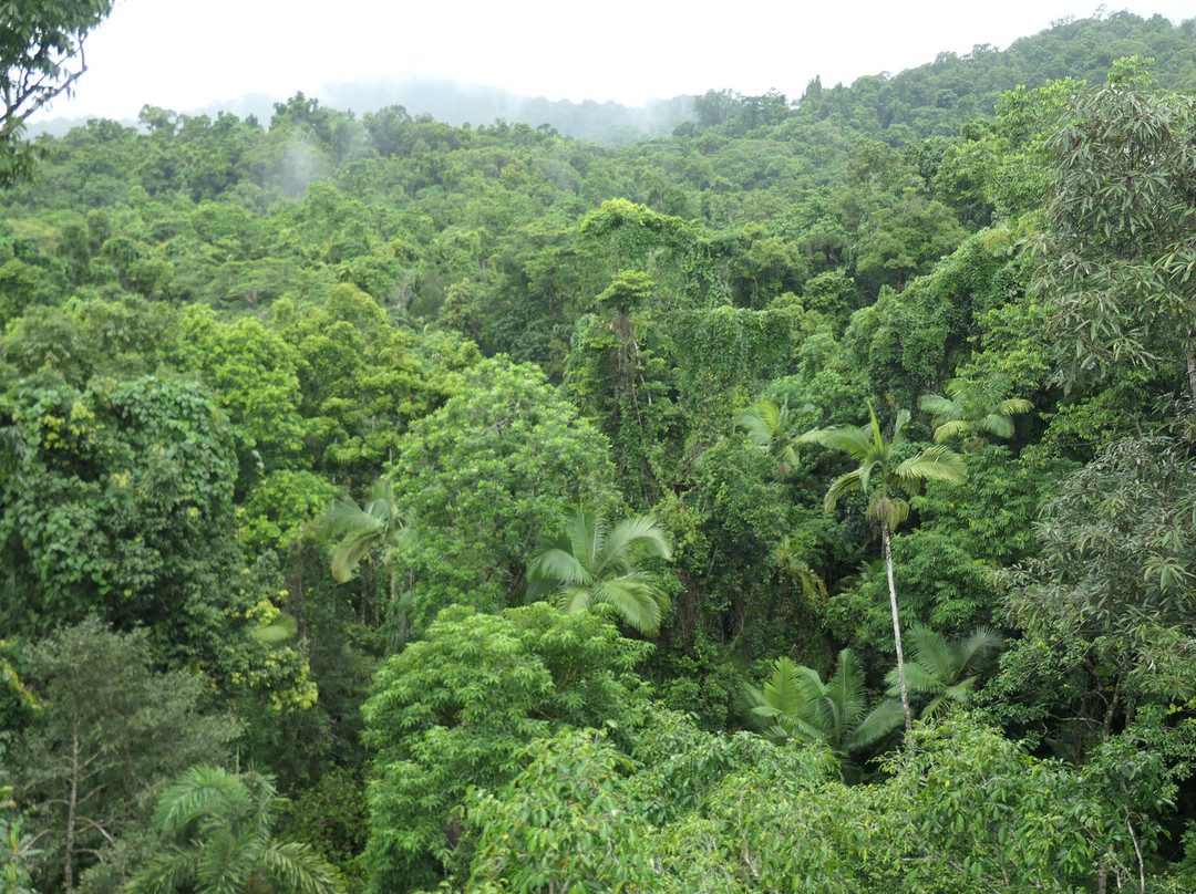 Daintree Discovery Centre-Cow Bay必去景点