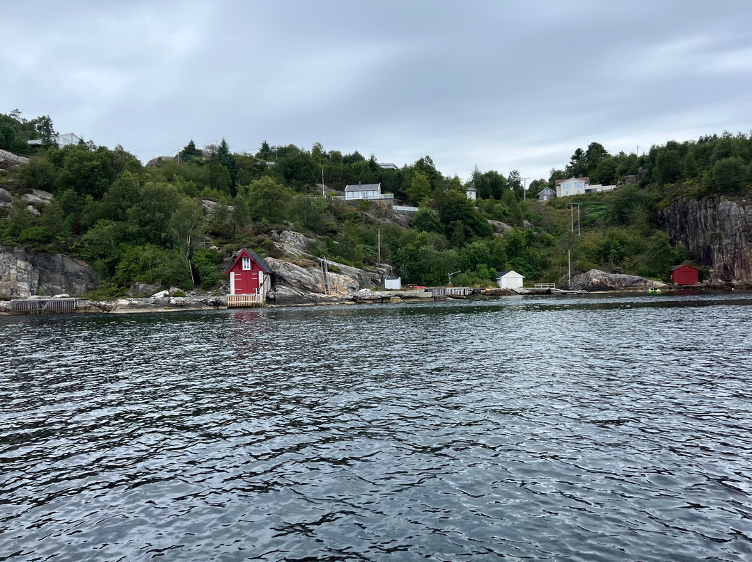 Rødne Fjord Cruise Bergen-卑尔根必去景点