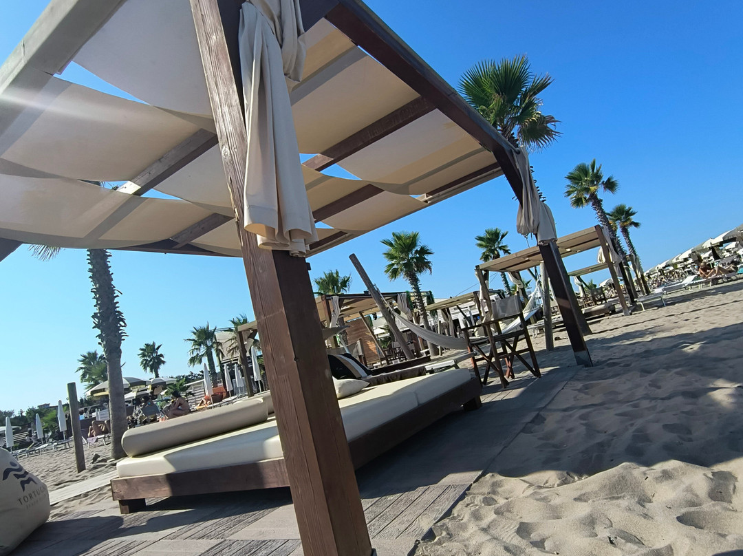 Tortuga beach