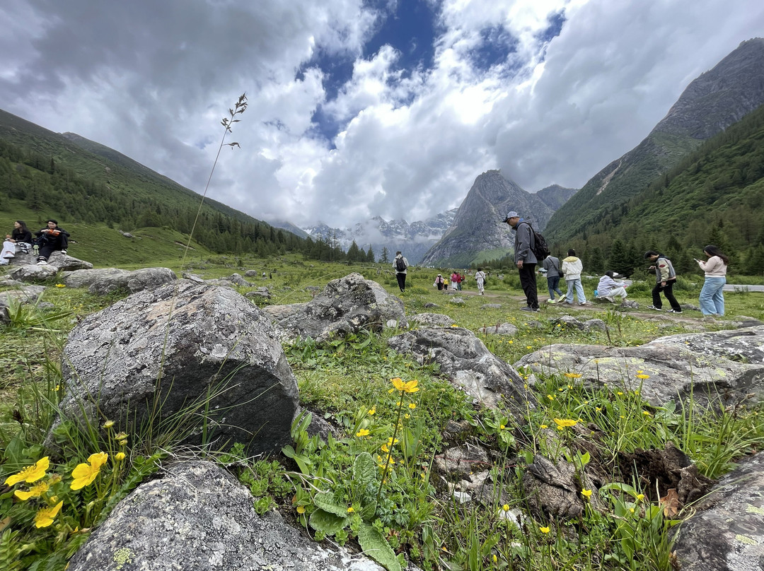 四姑娘山保护区-小金县必去景点