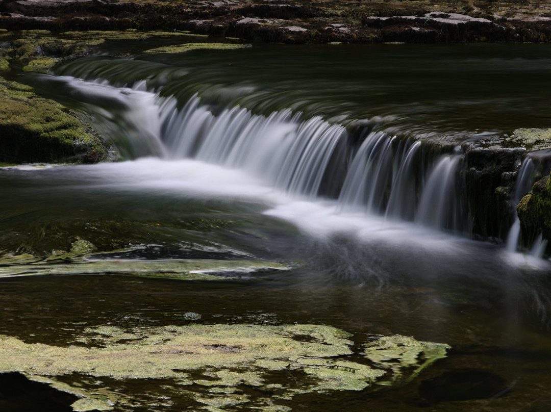 Aysgarth Falls-Aysgarth必去景点