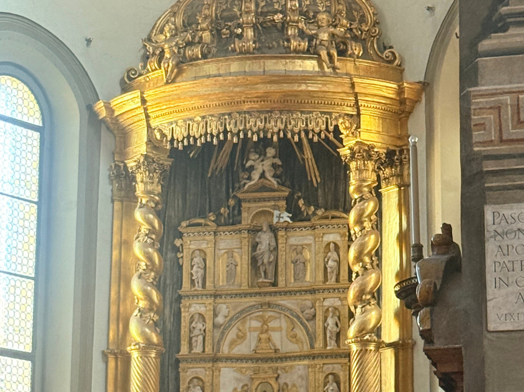 Cattedrale di Parma-帕尔马必去景点