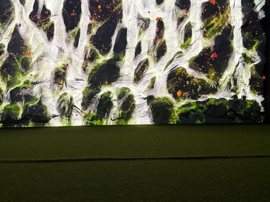 Sensorica Immersive Museum-基希讷乌必去景点