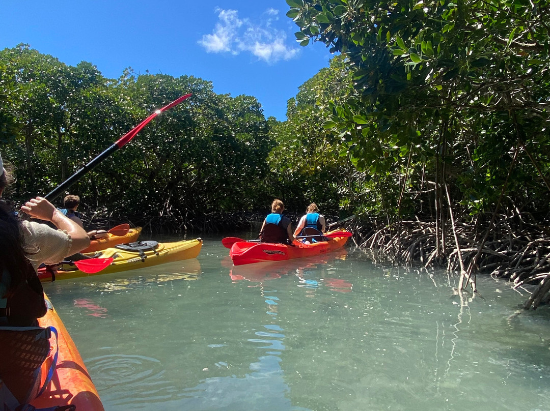 Sea Kayak Adventures-毛里求斯必去景点