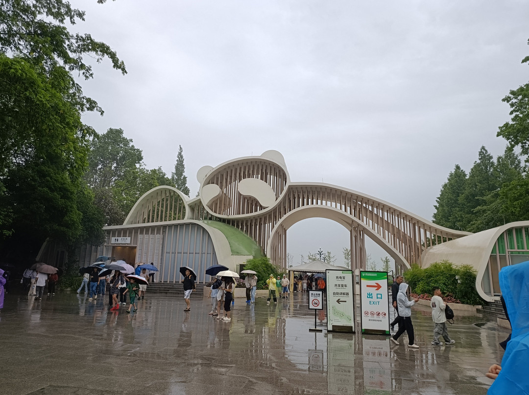 大熊猫谷-都江堰市必去景点