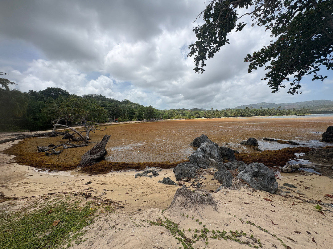 Playa Rincon-萨马纳半岛必去景点