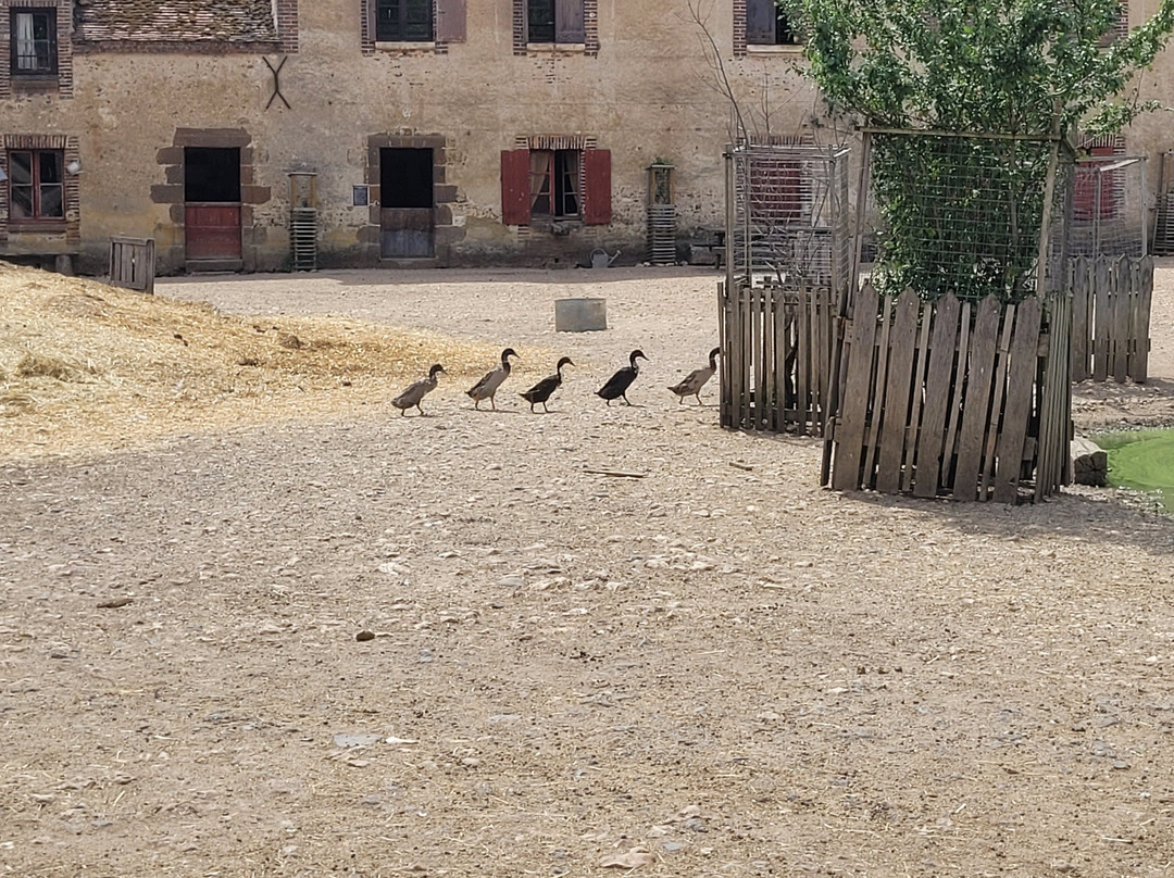La Ferme du Château-Saint-Fargeau必去景点