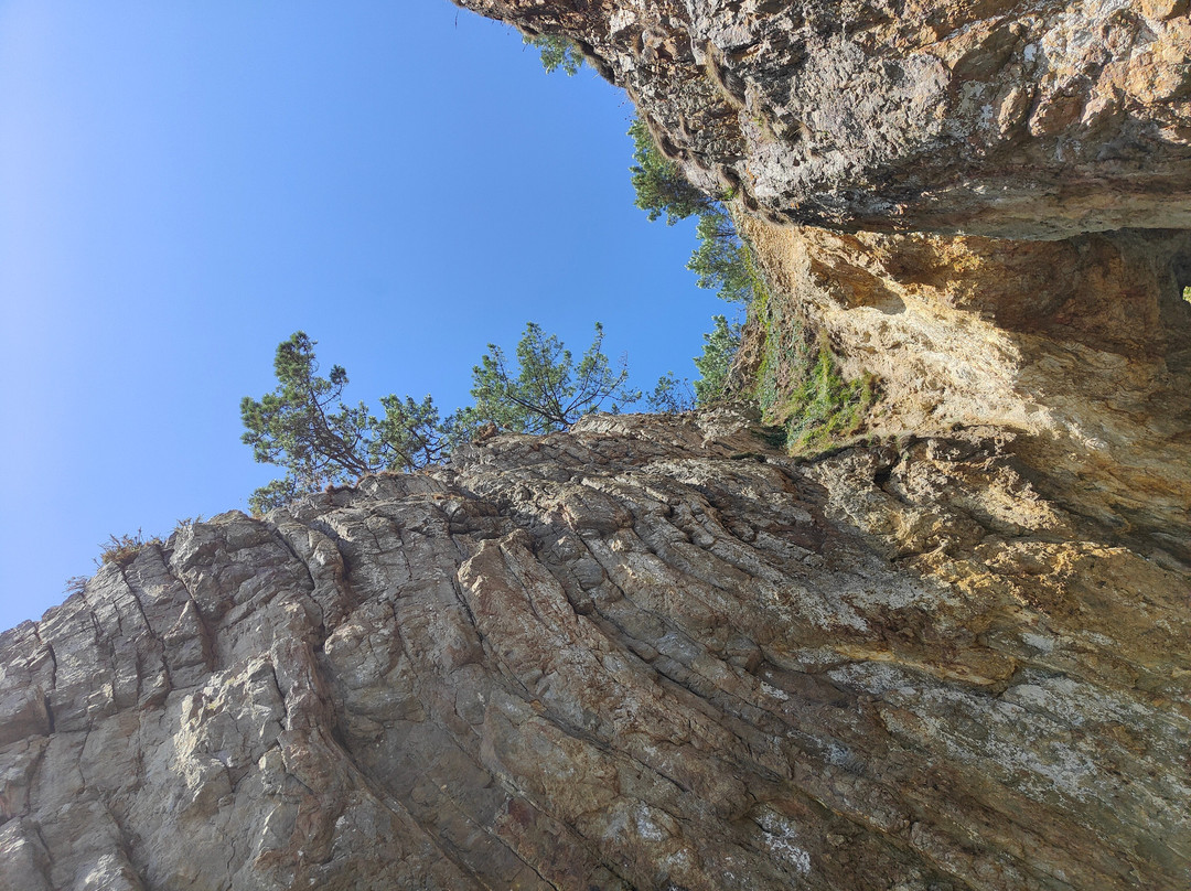 Vedettes Sirenes - Grottes Marines de Morgat-Morgat必去景点