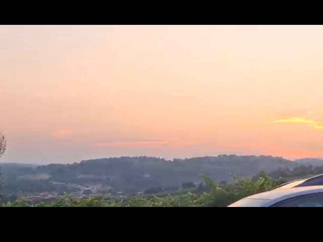 Azienda Agricola De Leyva-佩萨罗必去景点