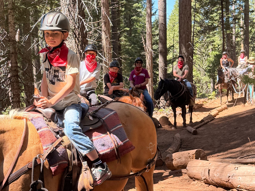 Yosemite Trails Horseback Adventures-菲什营必去景点