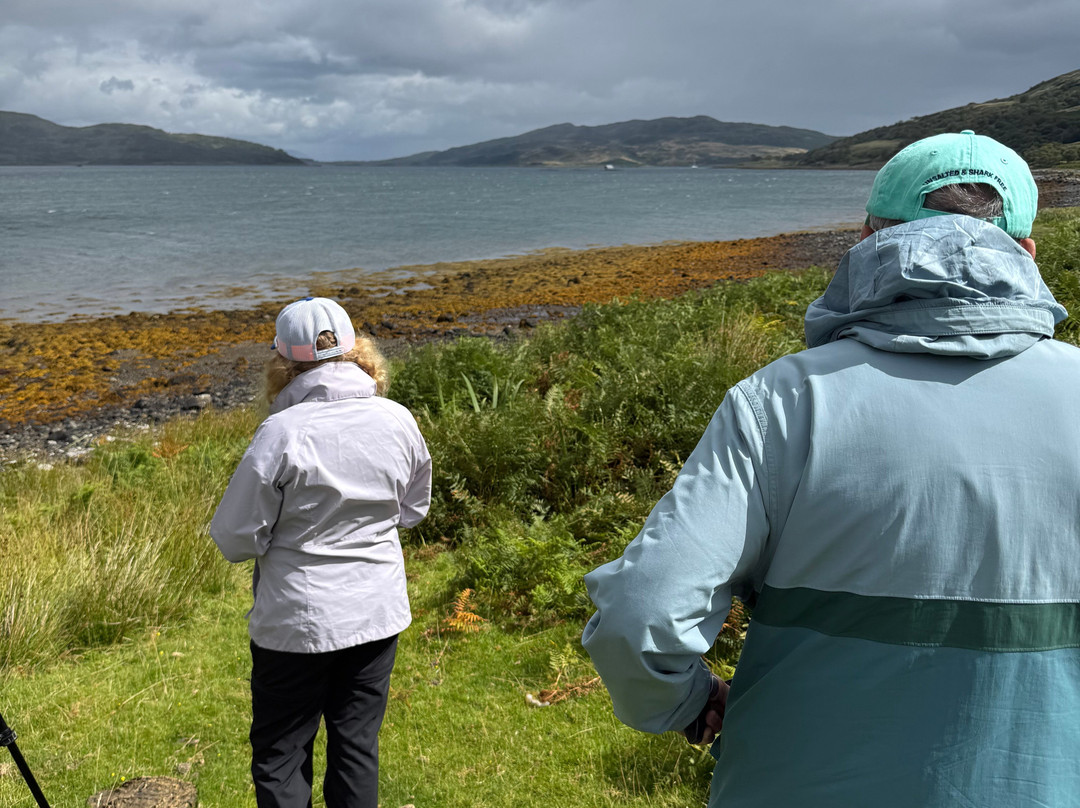 Mull Magic Wildlife - Day Tours-Tobermory必去景点