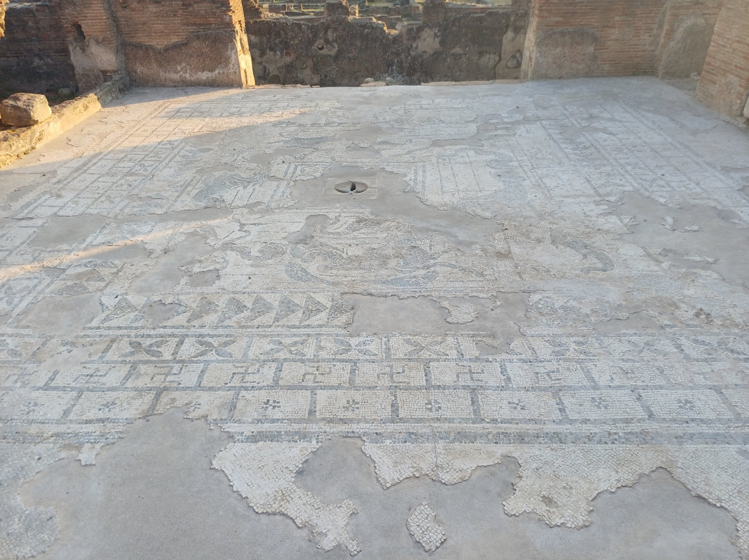 Parco Archeologico di Elea - Velia-Marina di Ascea必去景点