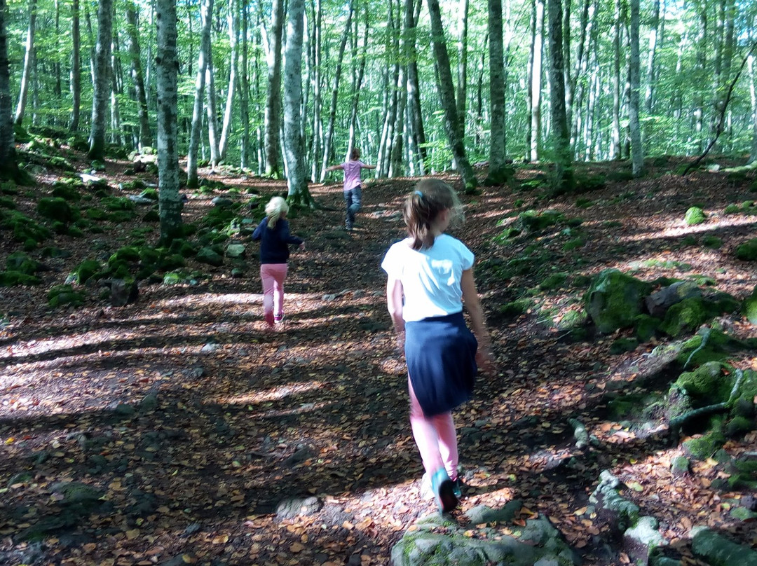 La Fageda d'en Jorda-Santa Pau必去景点