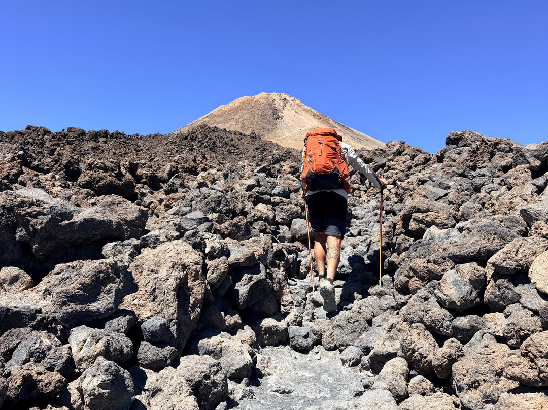 Canarias Nature Guides-Candelaria必去景点