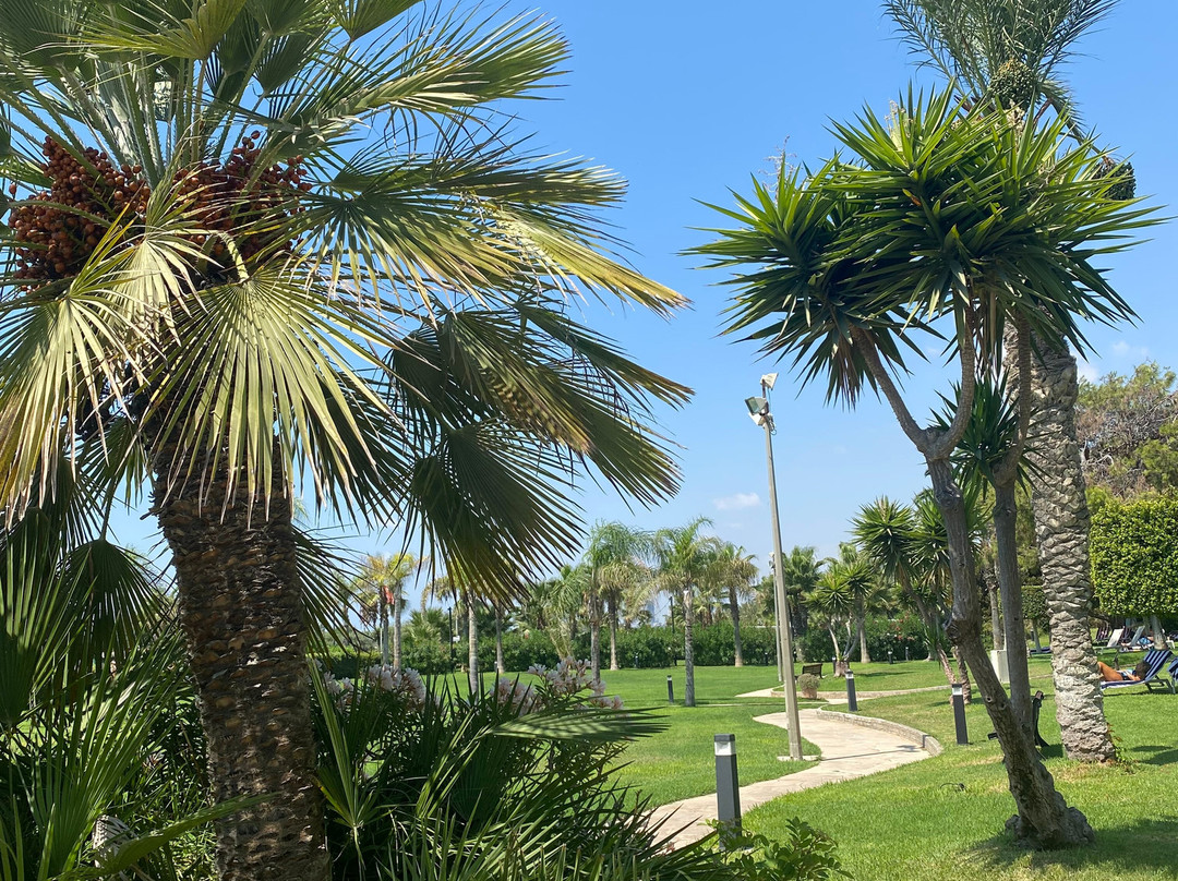 St Raphael Resort主图