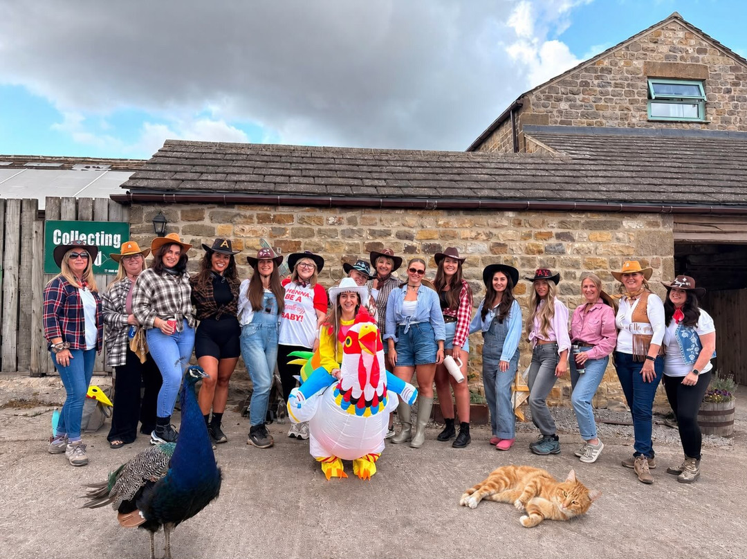 Farm Adventure Yorkshire-马沙姆必去景点
