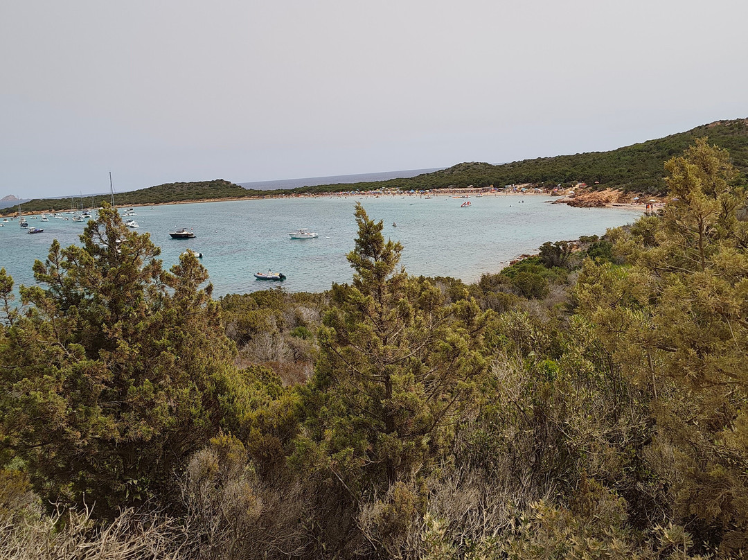 Spiaggia Capo Coda Cavallo-San Teodoro必去景点