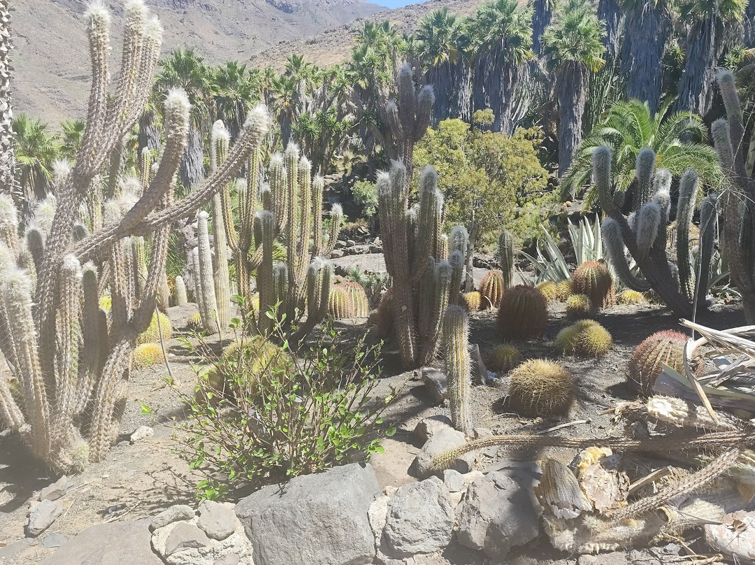 Cactualdea Park-San Nicolas必去景点