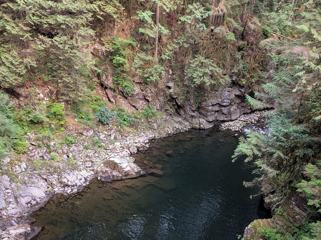 Capilano River Regional Park-北温哥华必去景点