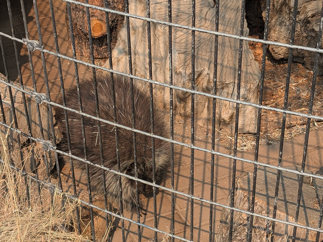 BC Wildlife Park-坎卢普斯必去景点