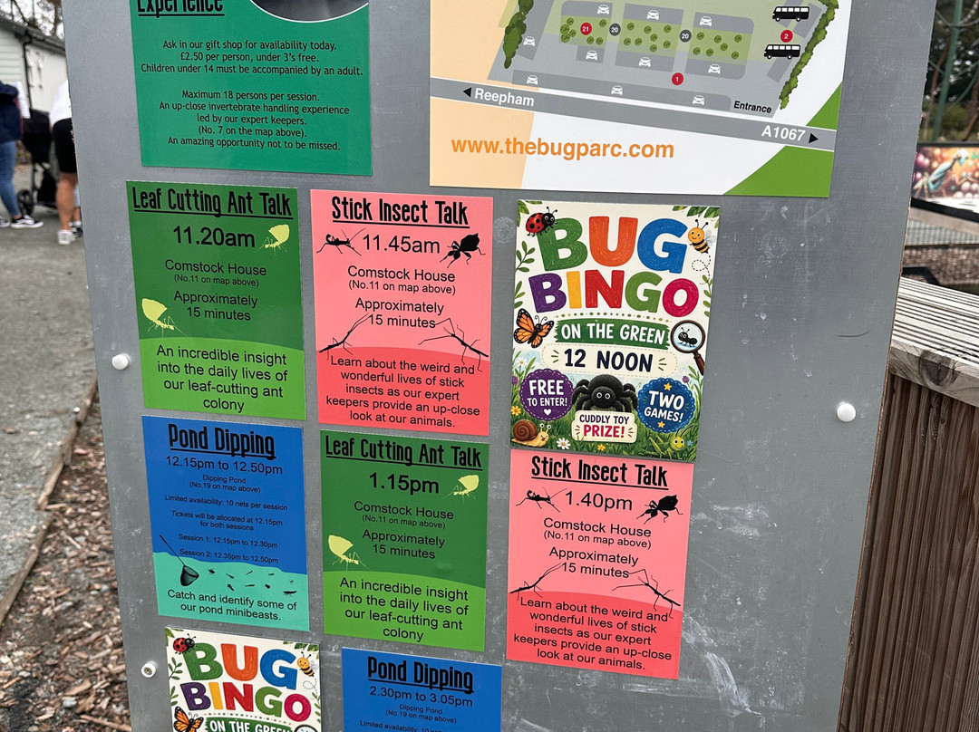 The Bug Parc-Lenwade必去景点