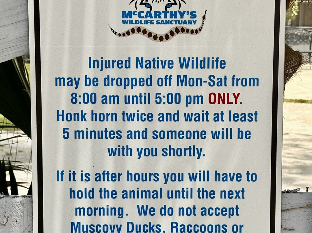 McCarthy's Wildlife Sanctuary-西棕榈滩必去景点